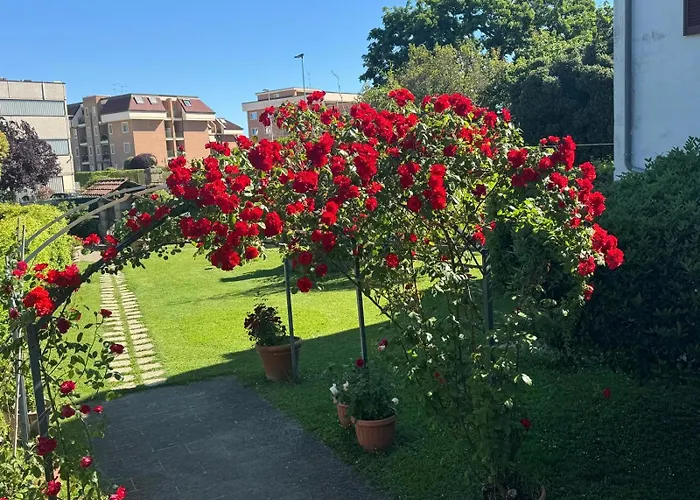 B&B Le Cinque Querce