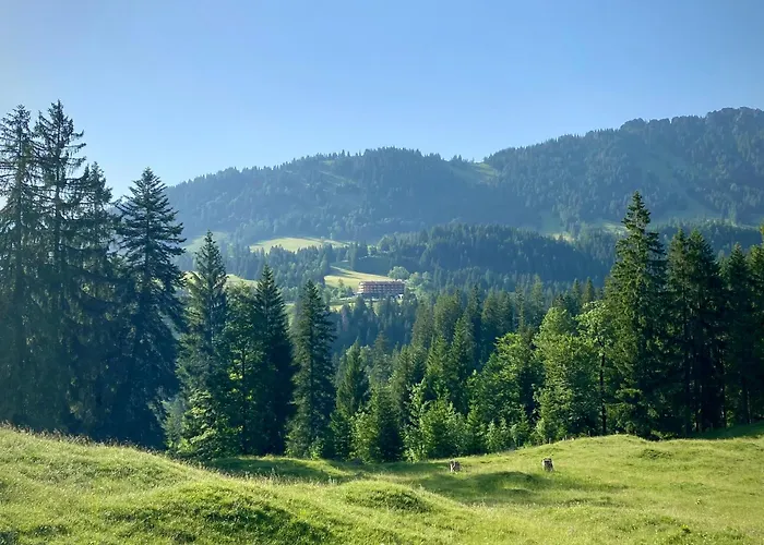 Hotels in Schattwald