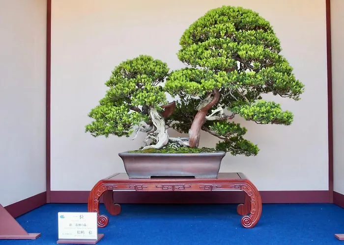 Saitama Hotels