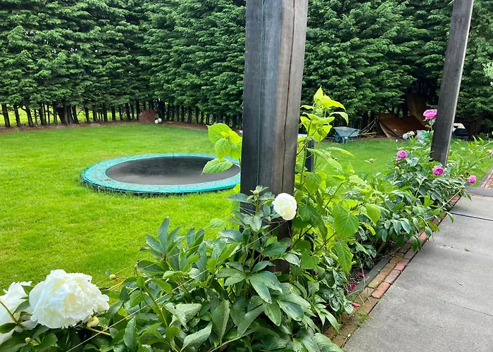 B&B Paauwze