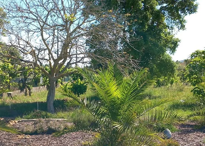 Quinta Laranjal Da Arrabida Acomodação com café da manhã Palmela