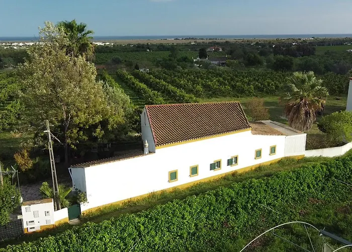 Quinta Rosa Branca