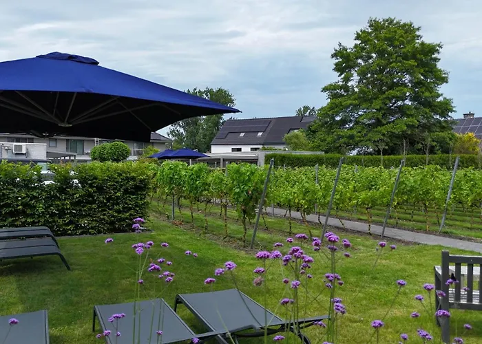 Hotels in Dendermonde