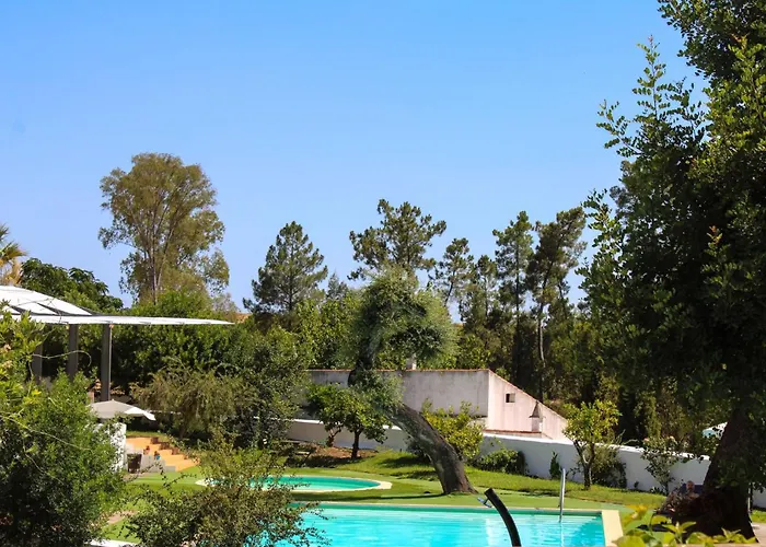 Hotéis em Minas de São Domingos