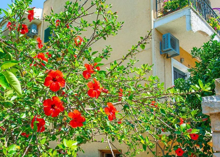Hotels in Acharavi (Corfu)