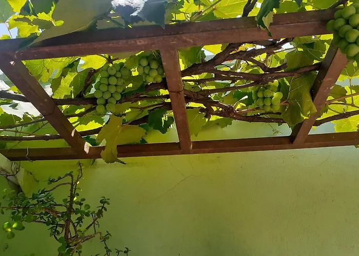 Hotel Vila Solar Limeira
