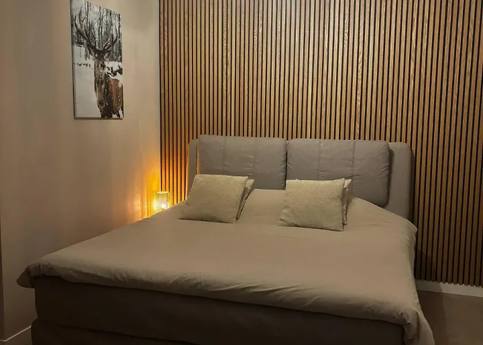 Bed&Breakfast Heerenveen Centrum met Privé Sauna en Jacuzzi