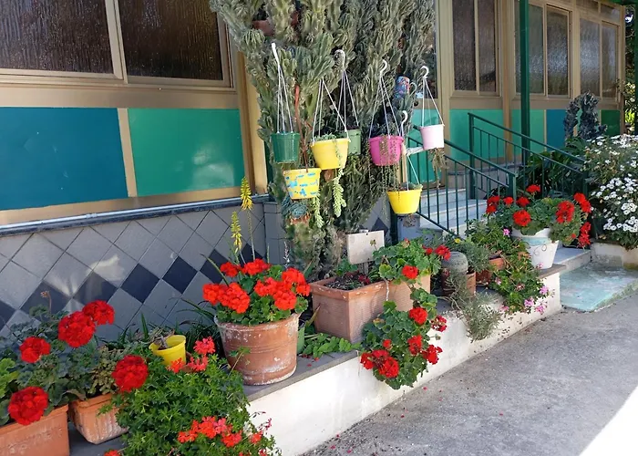 Bed and Breakfast Lemontree House Bacoli