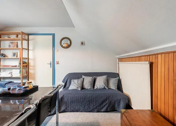Cozy room in residential Alkmaar