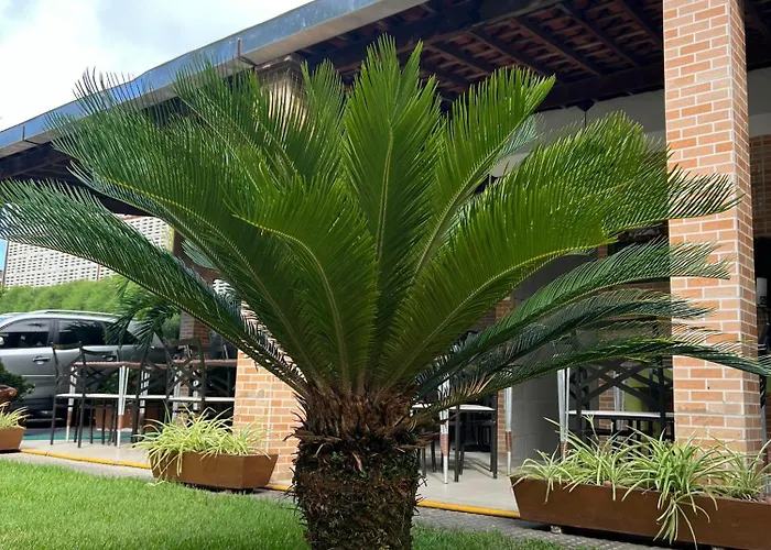 Pousada Shalon Olinda