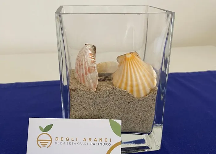 B&B degli Aranci Palinuro