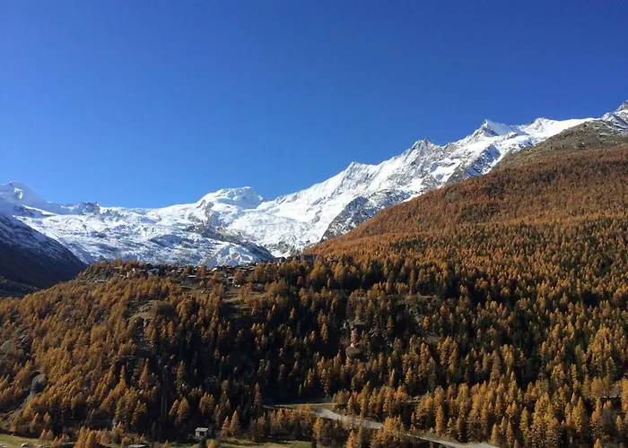 Hotels in Saas-Grund