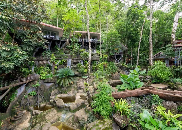 Rock And Tree House Resort Khao Sok National Park