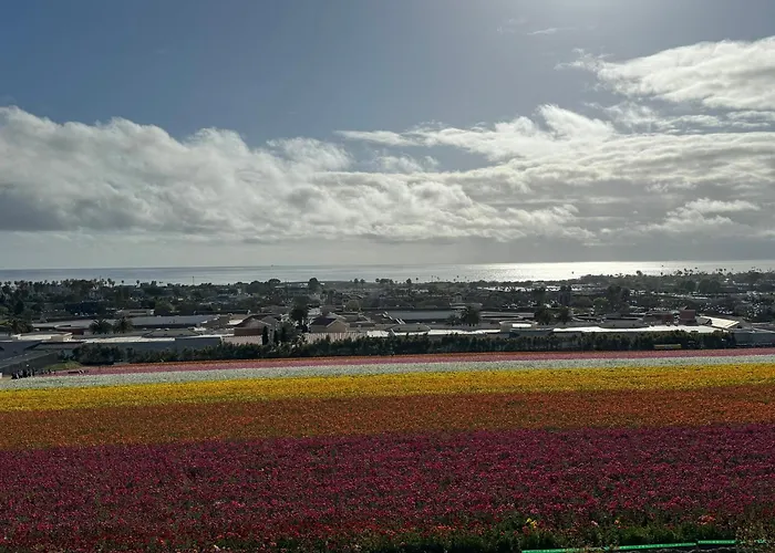Holiday Inn Express & Suites Carlsbad Beach By Ihg