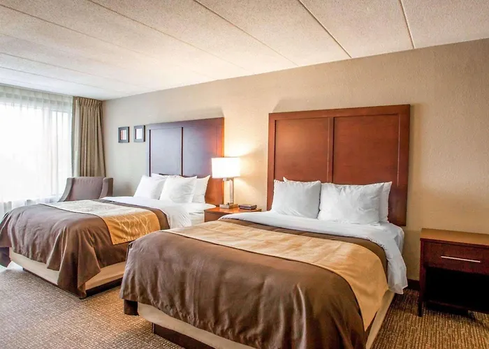Quality Inn & Suites Orland Park - Chicago