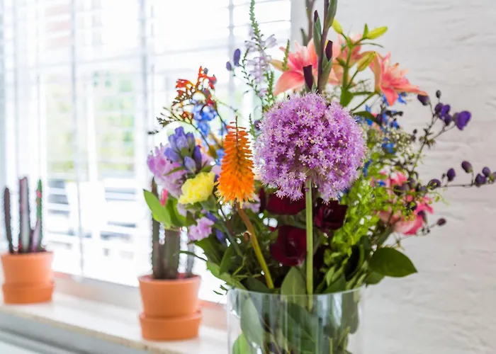 Bij Jans B&B Hilvarenbeek