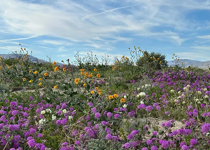 Borrego Springs Hotels