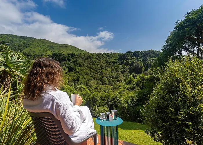 Bergville Hotels