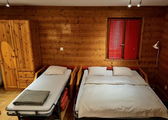 Zinal Hotels
