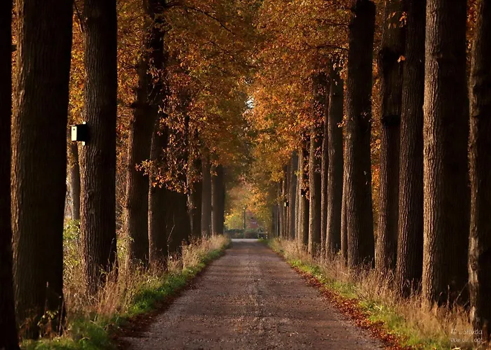 Hotels in Wijchen