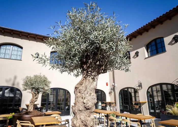 Soria Hotels