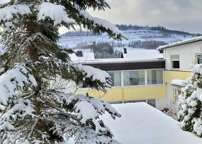 Berghotel Natura Bed & Breakfast Winterberg