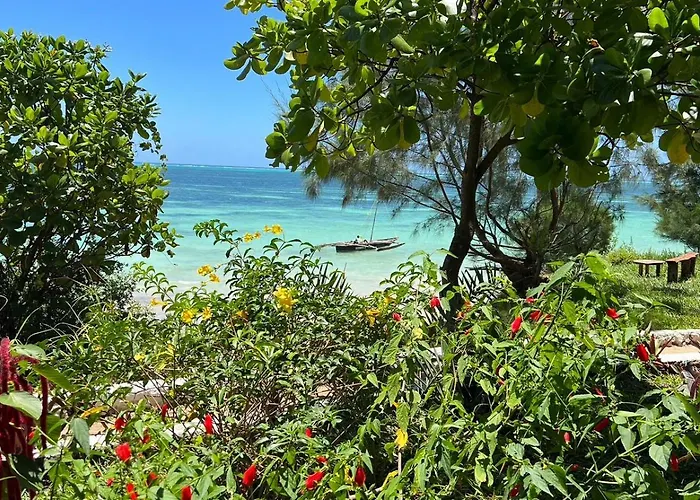 Hotels in Kiwengwa (Zanzibar)