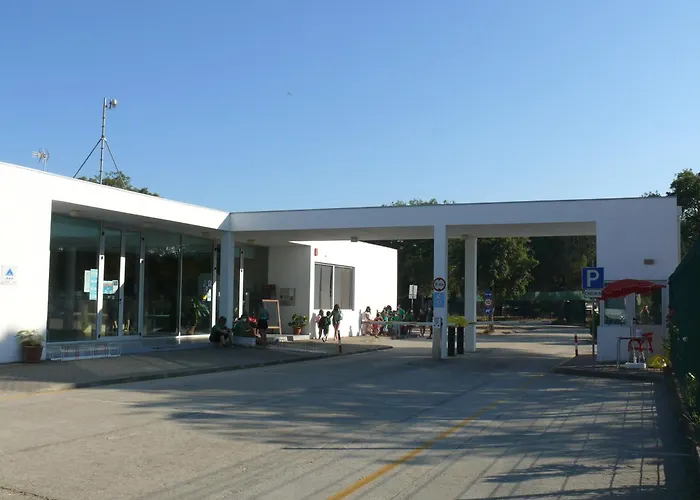 Parque De Campismo Orbitur Montargil Hotel