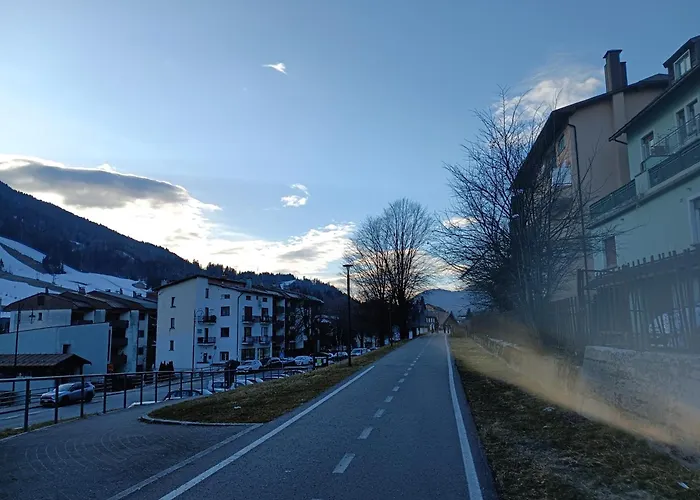 Central Greenlife Tarvisio