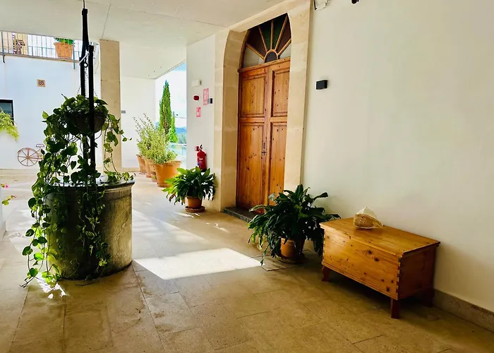 Hotels in Ariany