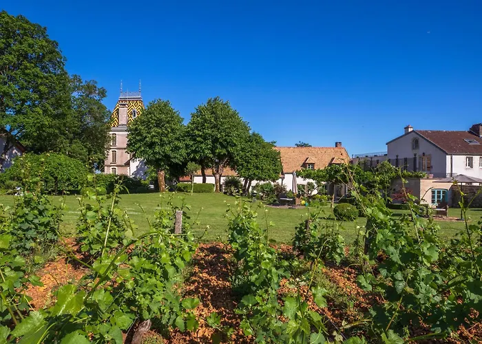 Aloxe-Corton Hotels