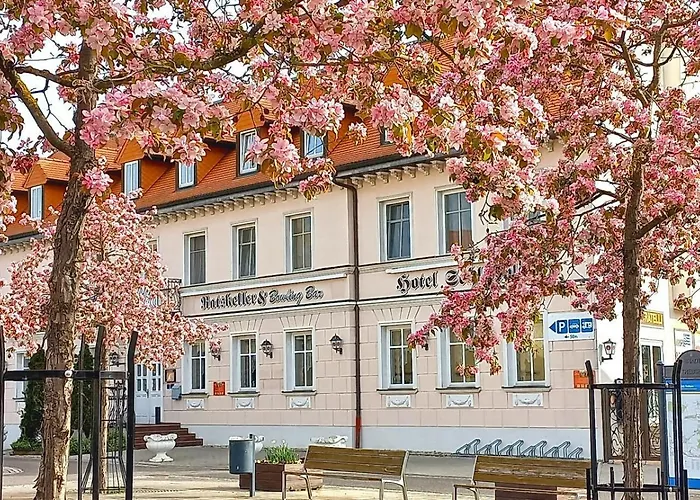 Hotels in Trebsen