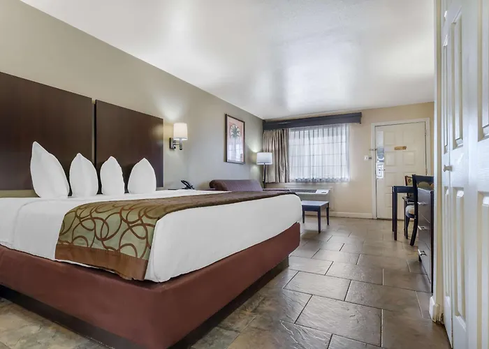 Best Western Padre Island Corpus Christi