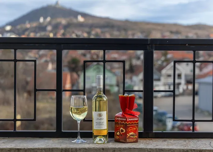 Vrsac Hotels