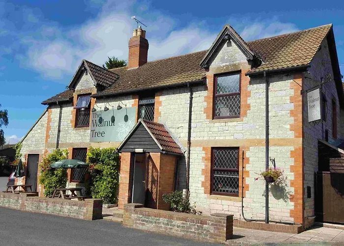 West Camel Hotels
