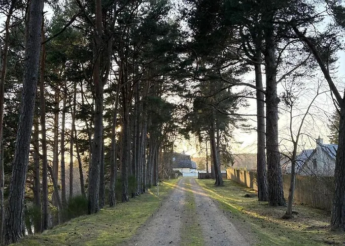 Hotels in Carrbridge