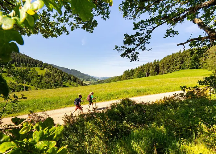 Hotels in Elzach