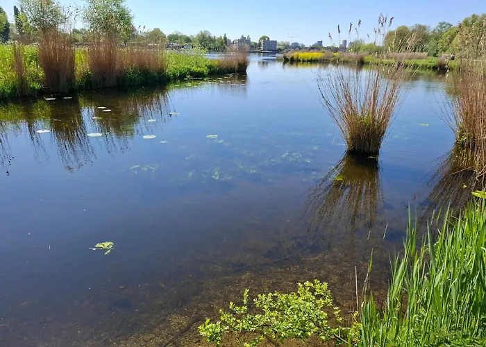 Sweetlake Zoetermeer