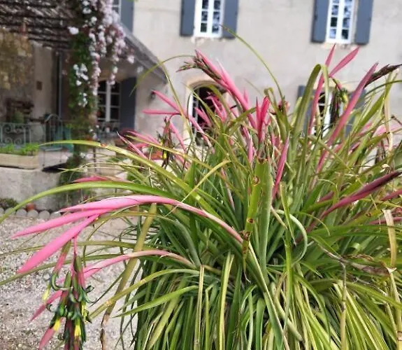 Hôtels 3 étoiles à Narbonne