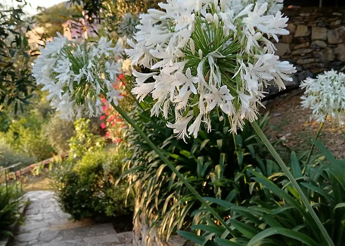 Villa Albachiara Camogli