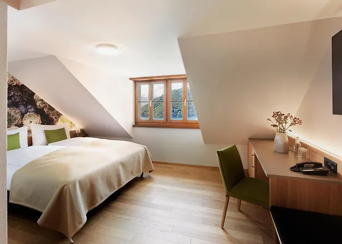 Hotels in Vitznau