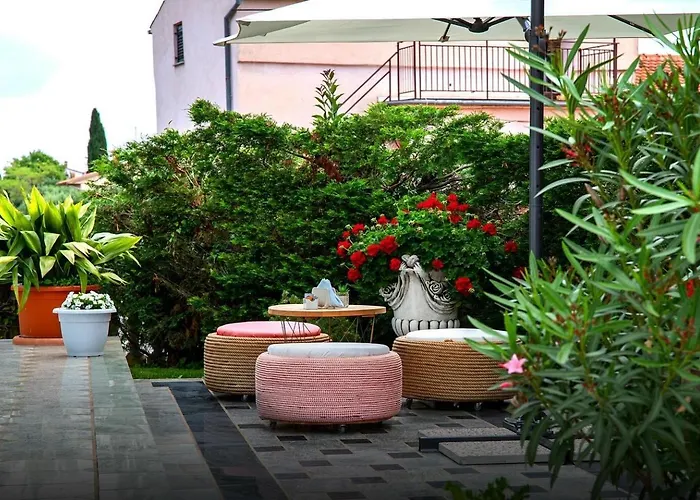 B&B-Ld Pola