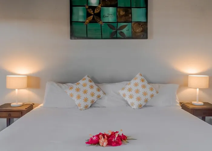 Taveuni Island Hotels