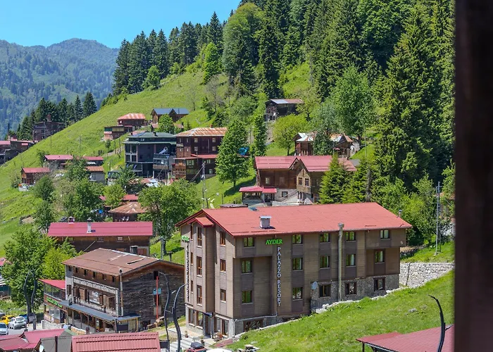 Hotels in Ayder Yaylasi