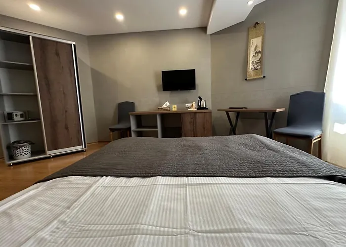 Borovoe Hotels