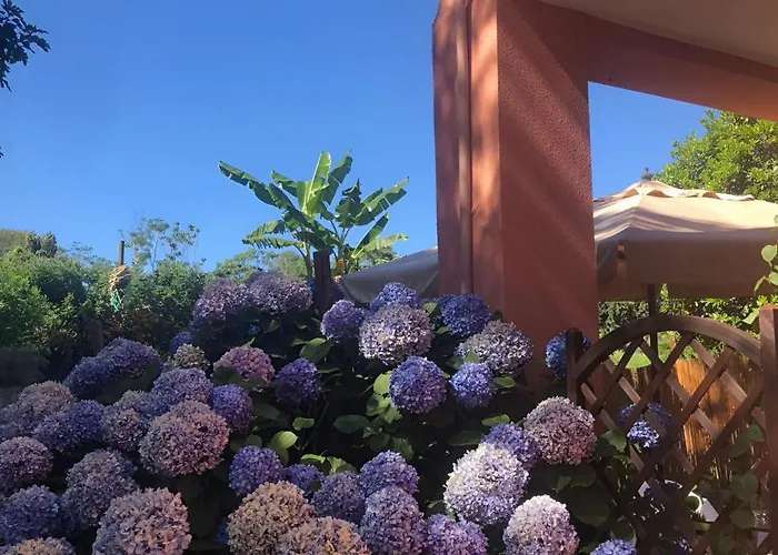 Sonnino B&B Procida