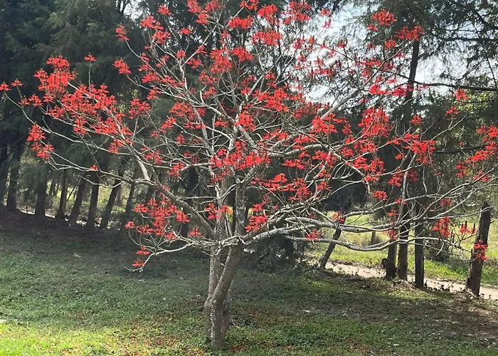 Pousada Pe Na Terra Em Guararema