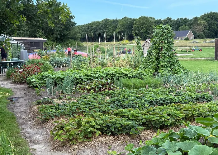 Appelscha aan de diek
