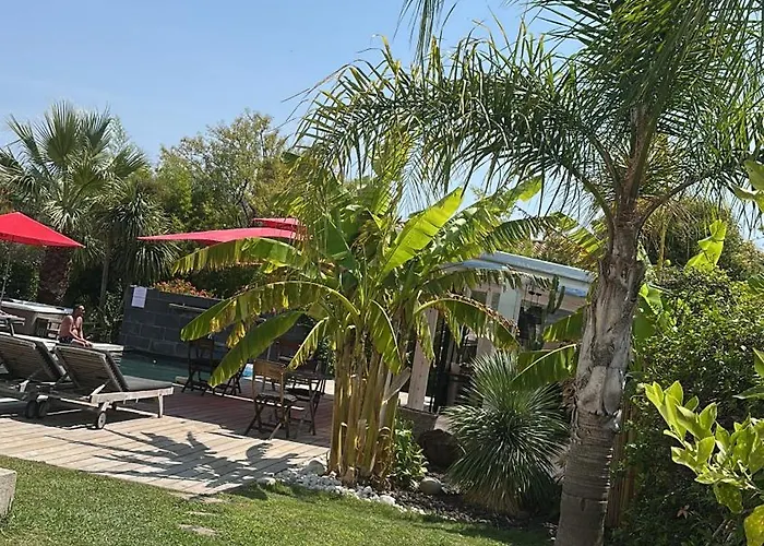 Villa Le Sud Cassis