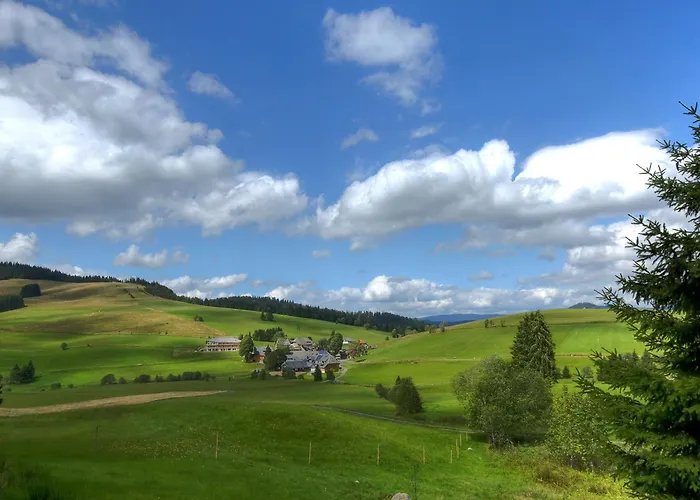 Hotels in Herrenschwand